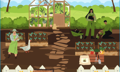 cartoon of a community garden with people planting or picking veggies